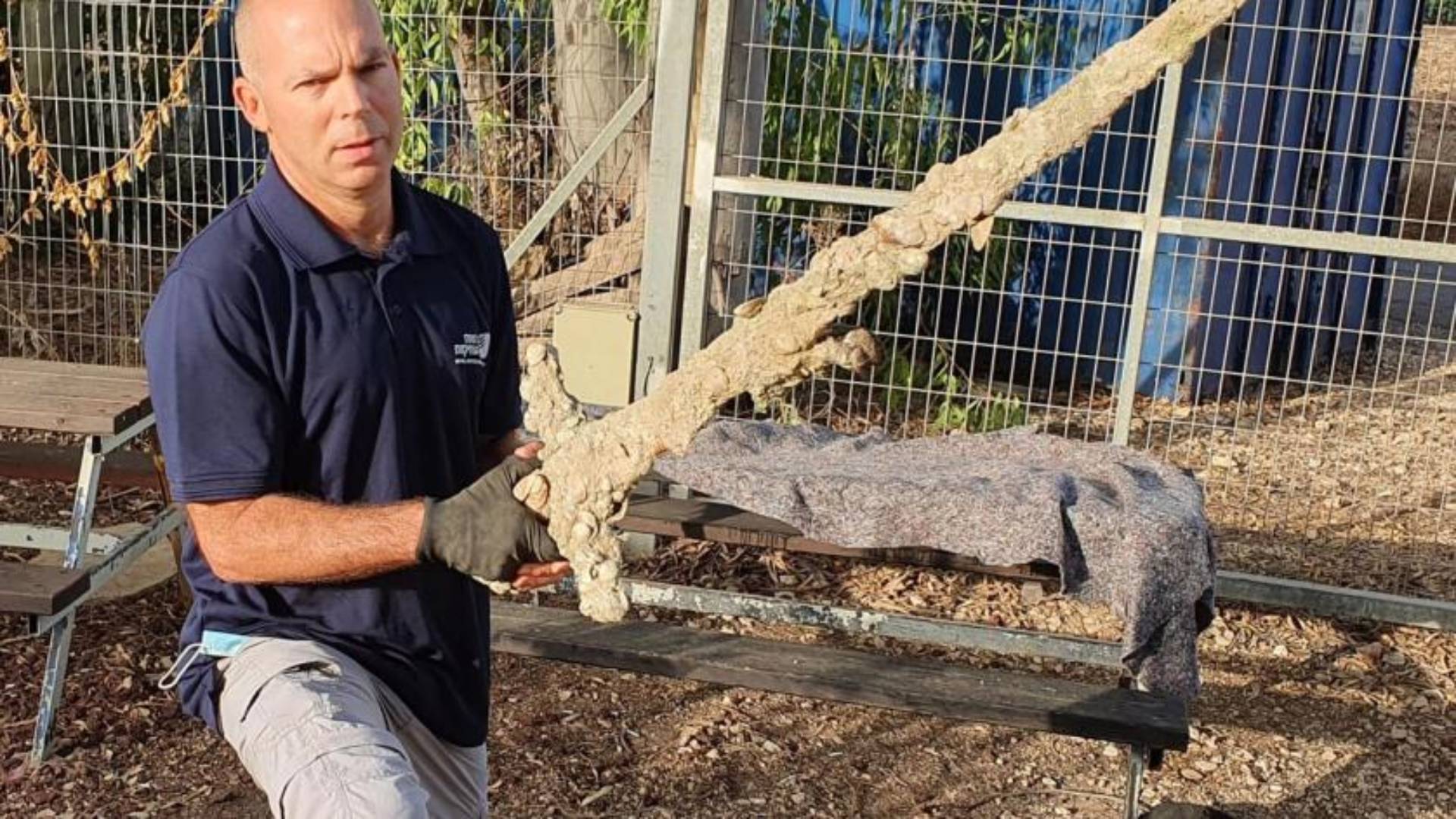 Inspector for the Israel Antiquities Authority's holds an ancient sword after it was discovered by an Israeli diver. (Israel's Antiquities Authority via AP) 